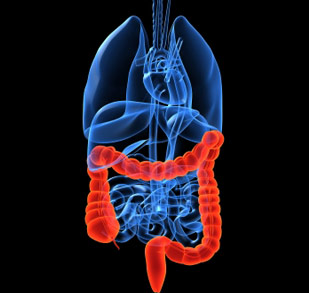 Longevity Centres Colonic Hydrotherapy